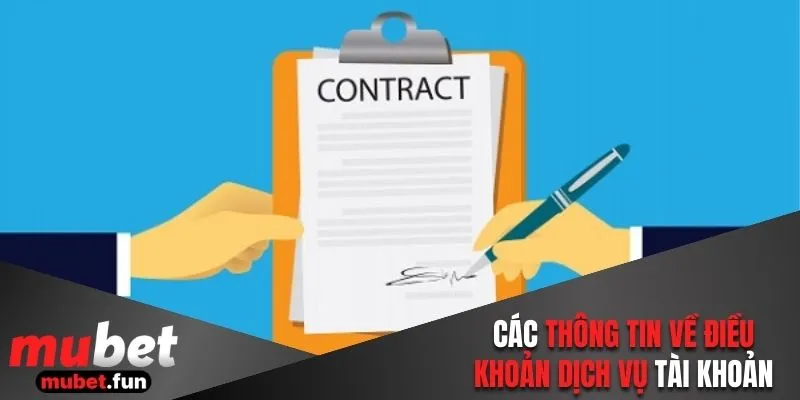 Các thông tin về điều khoản dịch vụ tài khoản
