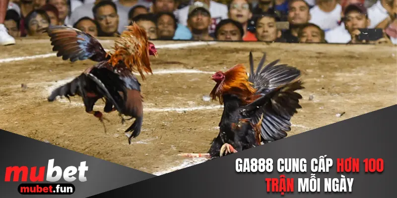 GA888 cung cấp hơn 100 trận mỗi ngày