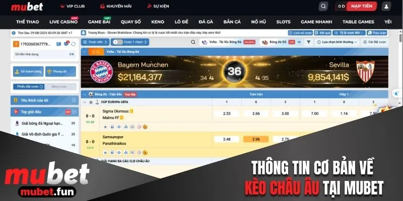 Thông tin cơ bản về kèo châu Âu tại Mubet
