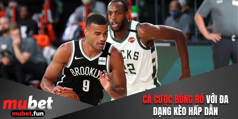 Cá cược bóng rổ với đa dạng kèo hấp dẫn